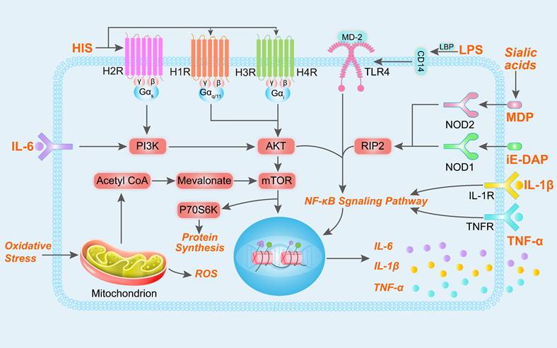 Int J Biol Sci Image
