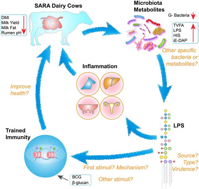 Int J Biol Sci Image