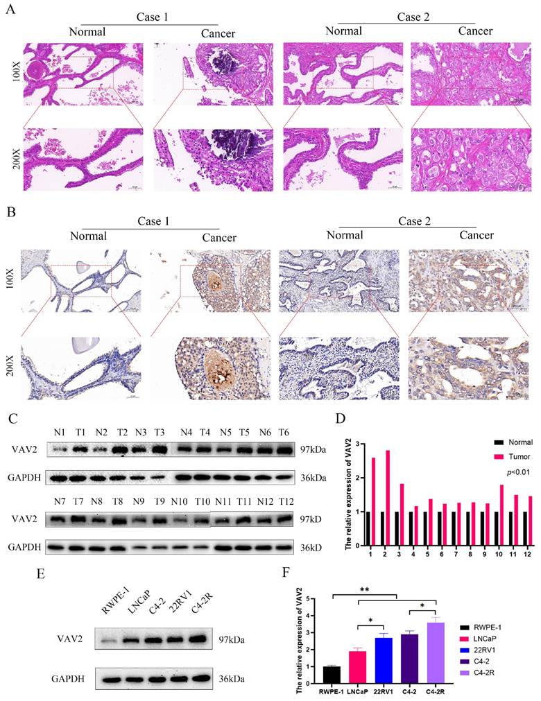 Int J Biol Sci Image