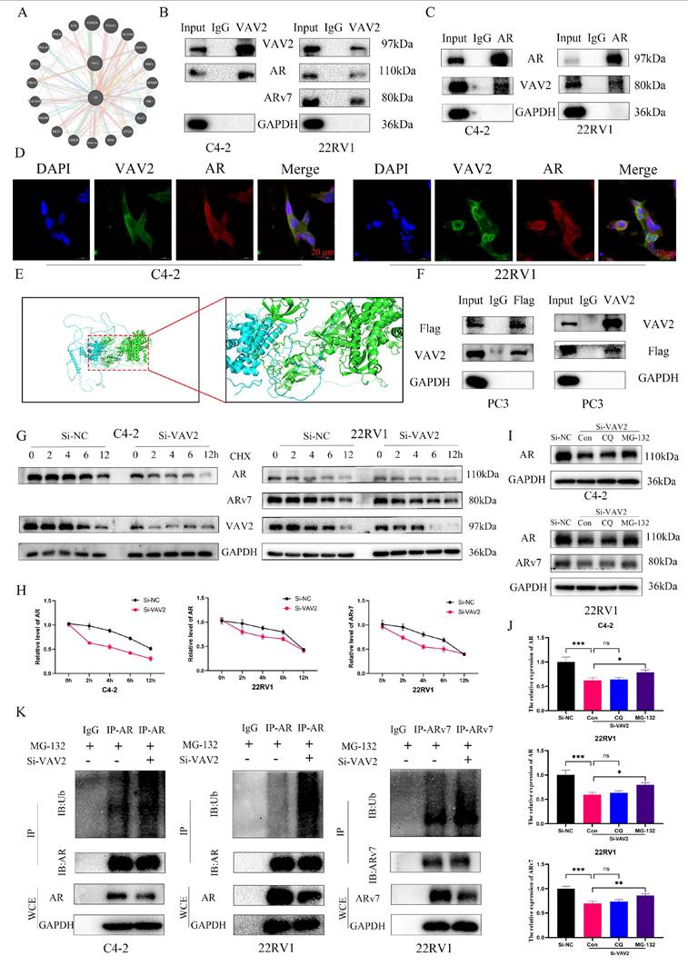 Int J Biol Sci Image