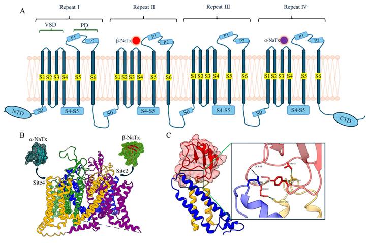 Int J Biol Sci Image