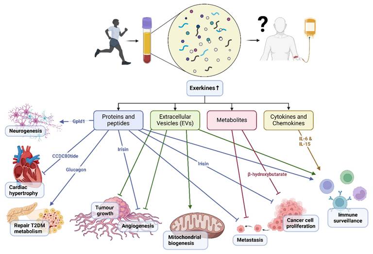 Int J Biol Sci Image