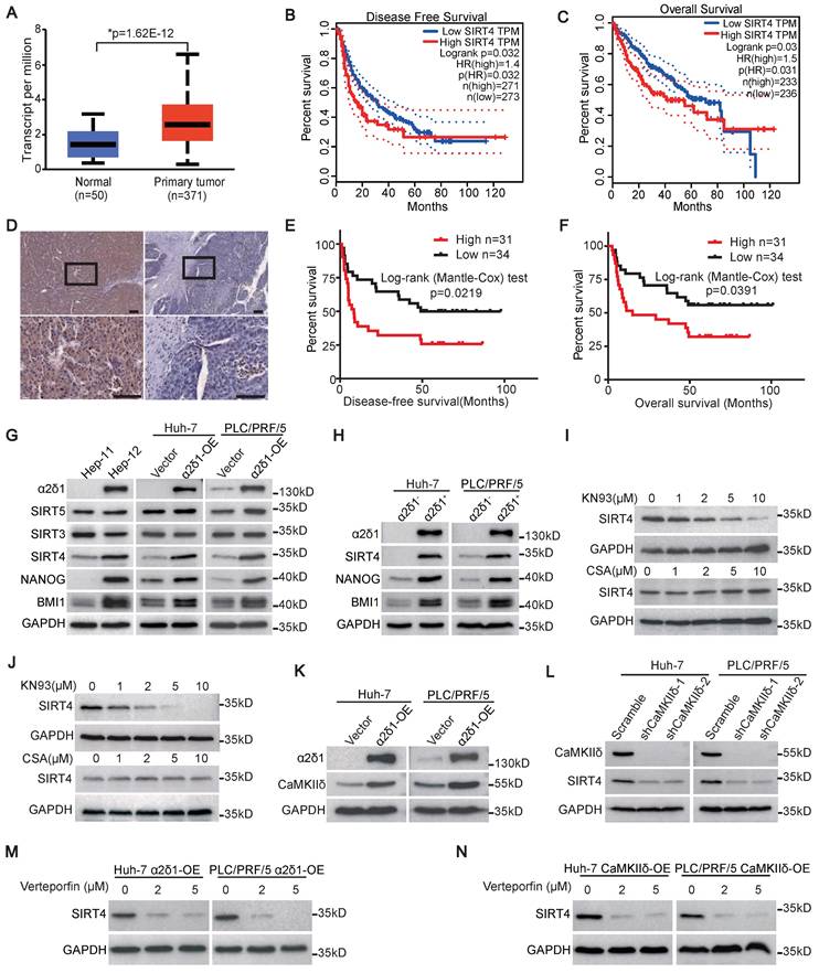 Int J Biol Sci Image