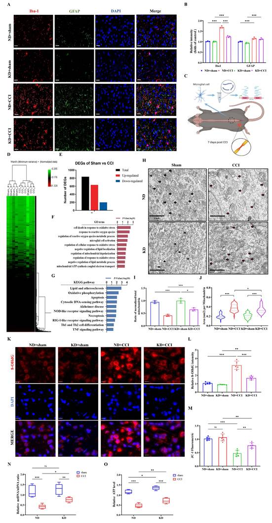 Int J Biol Sci Image
