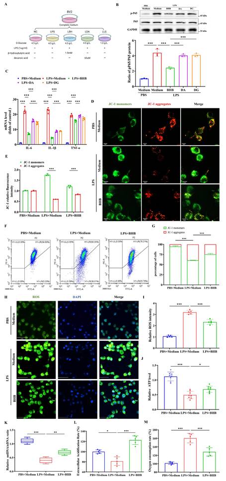 Int J Biol Sci Image