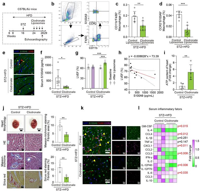 Int J Biol Sci Image