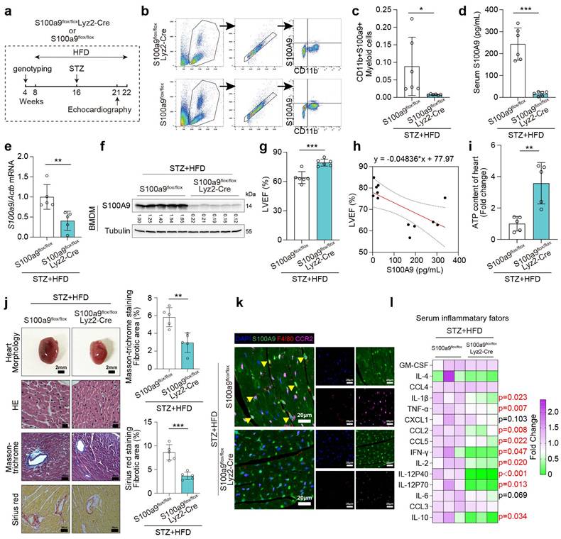 Int J Biol Sci Image
