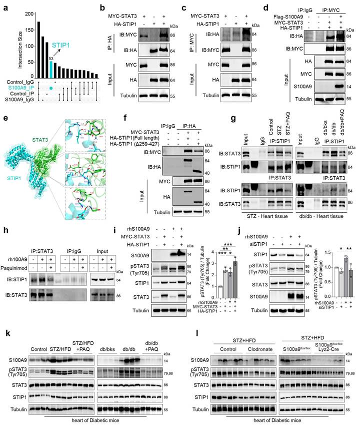 Int J Biol Sci Image