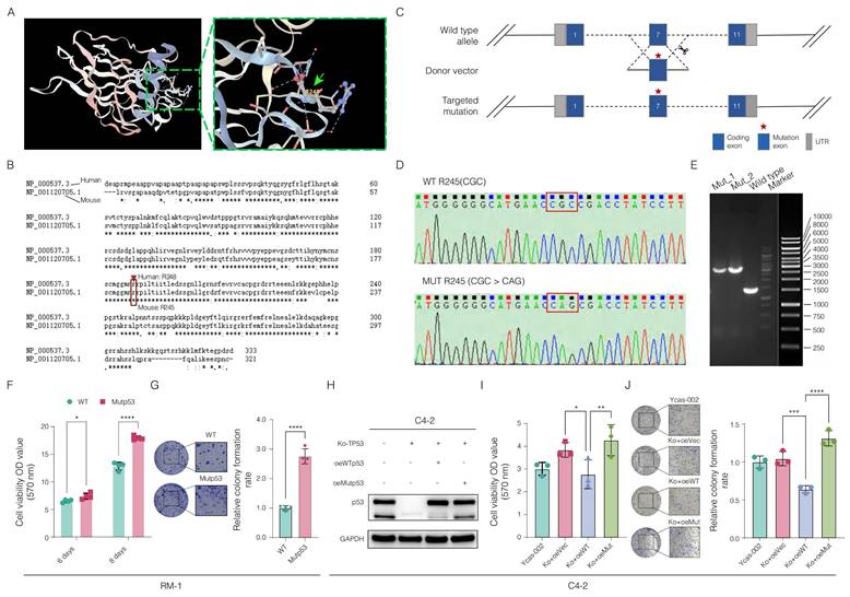 Int J Biol Sci Image