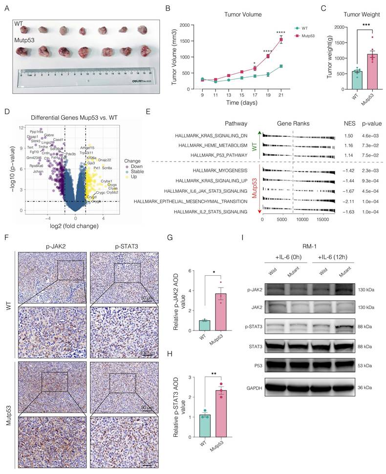 Int J Biol Sci Image