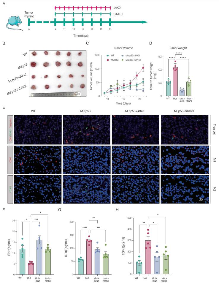 Int J Biol Sci Image