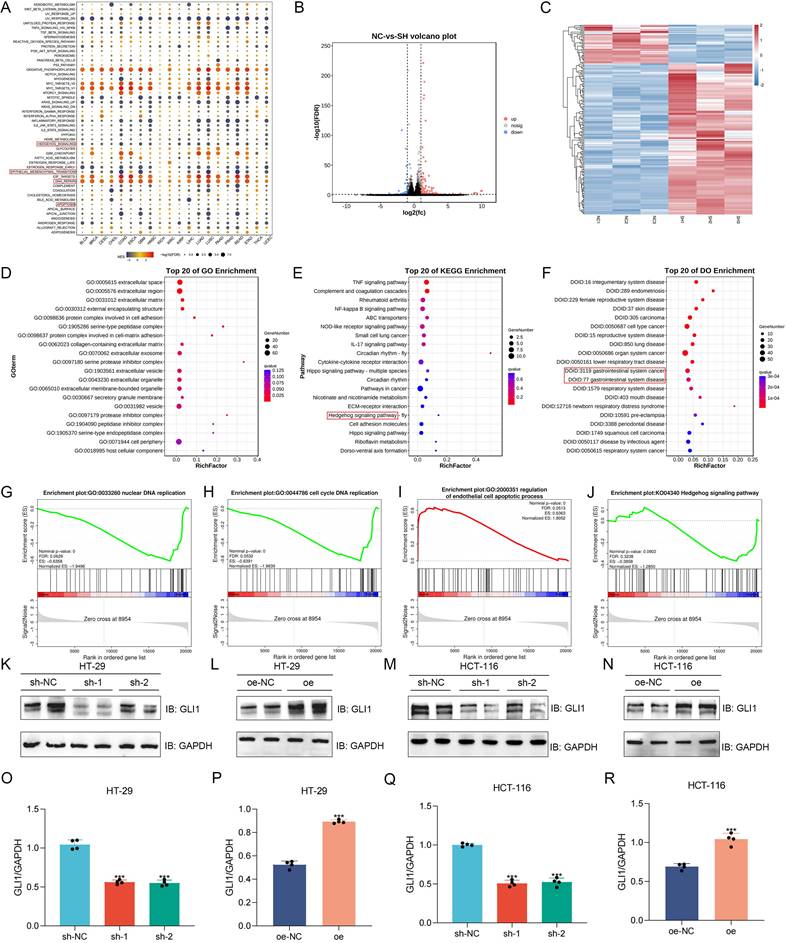 Int J Biol Sci Image