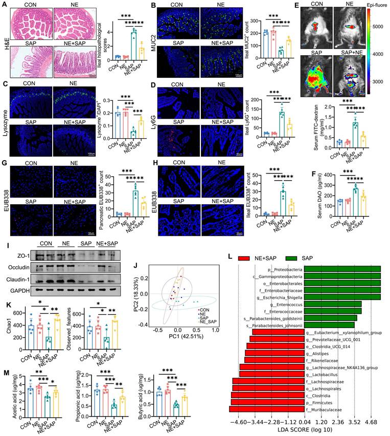 Int J Biol Sci Image