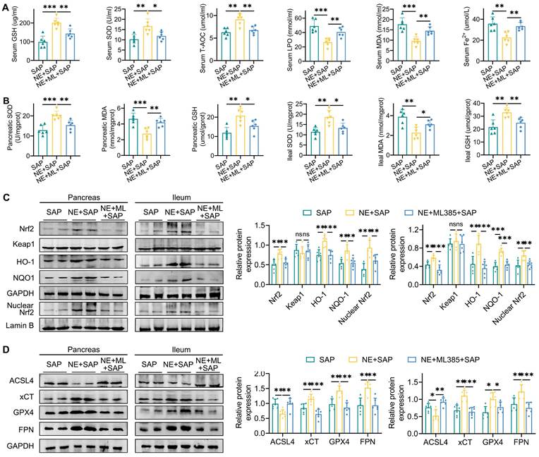 Int J Biol Sci Image