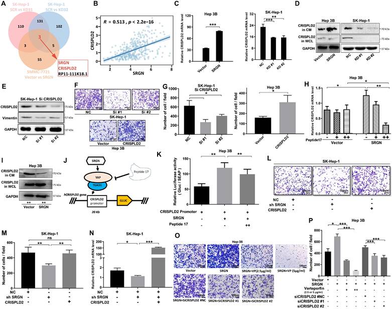 Int J Biol Sci Image