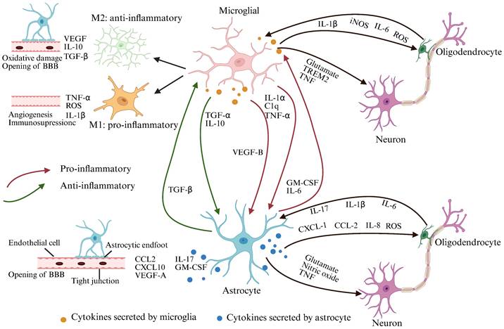 Int J Biol Sci Image