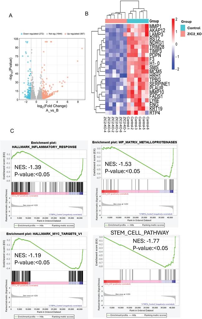Int J Biol Sci Image
