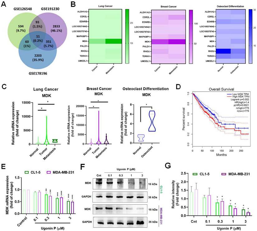 Int J Biol Sci Image