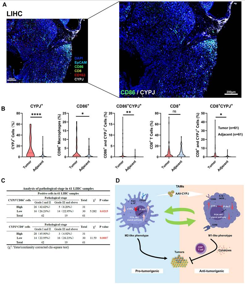 Int J Biol Sci Image