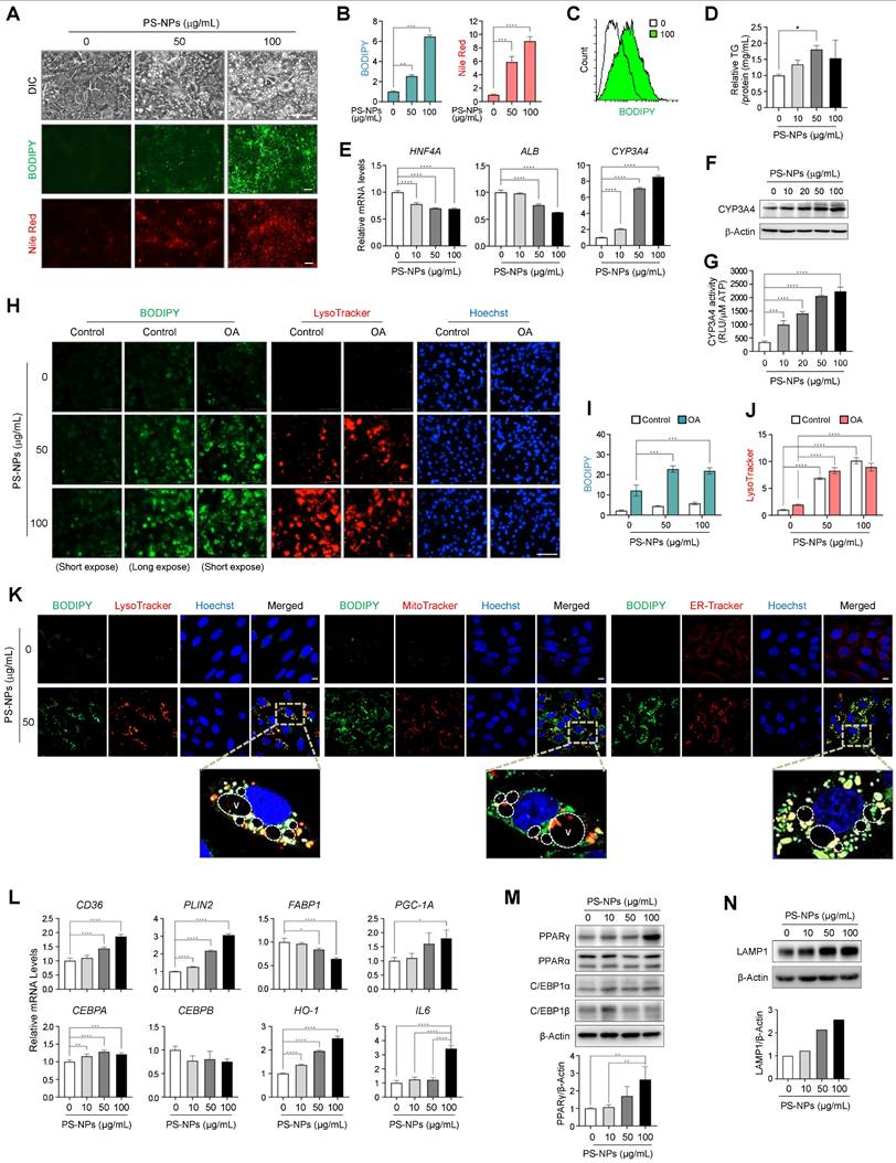 Int J Biol Sci Image
