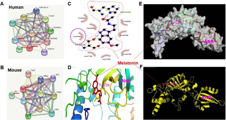 Int J Biol Sci Image