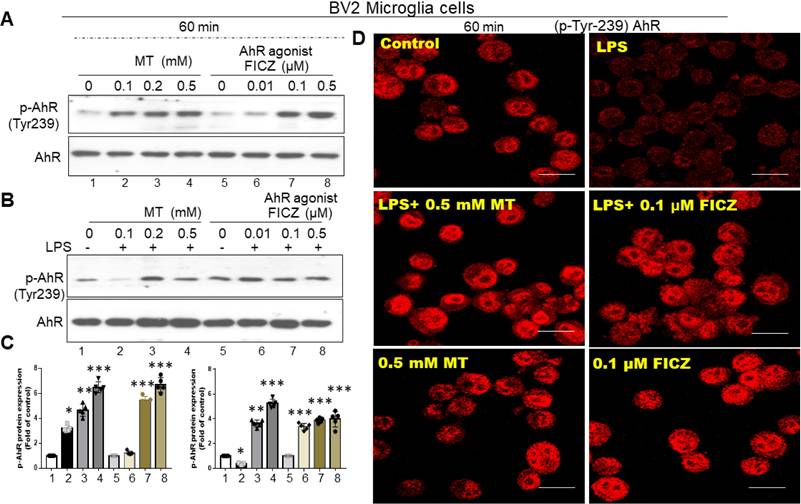 Int J Biol Sci Image