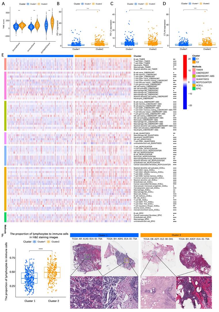 Int J Biol Sci Image