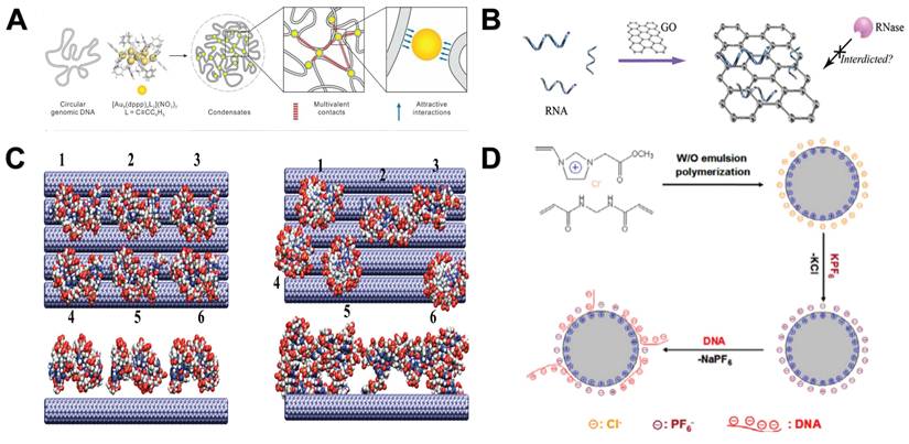Int J Biol Sci Image