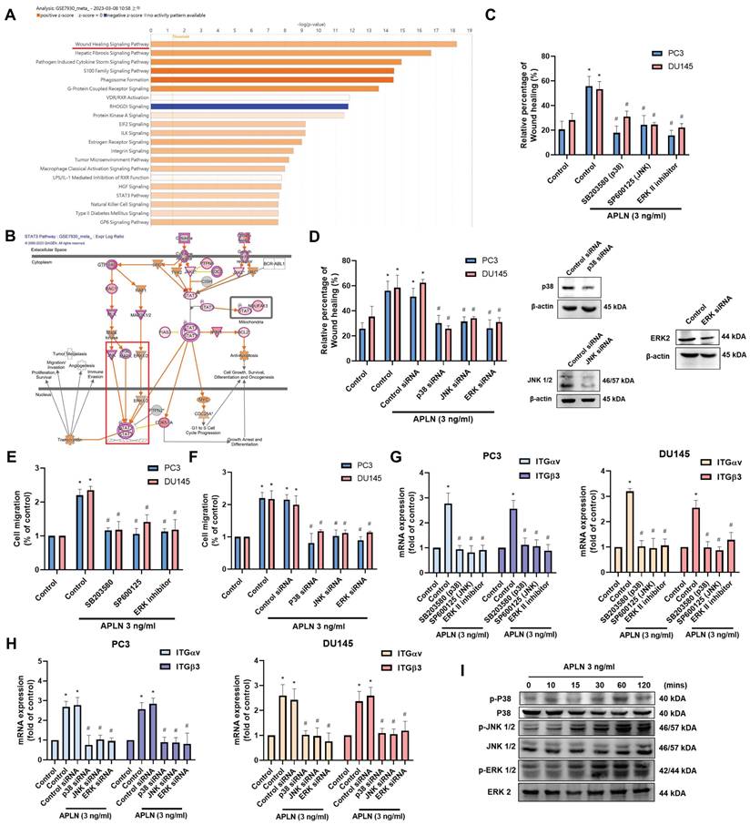 Int J Biol Sci Image