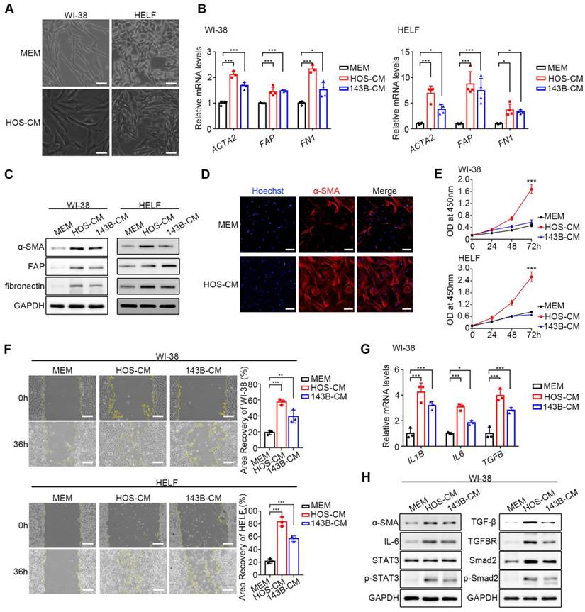 Int J Biol Sci Image