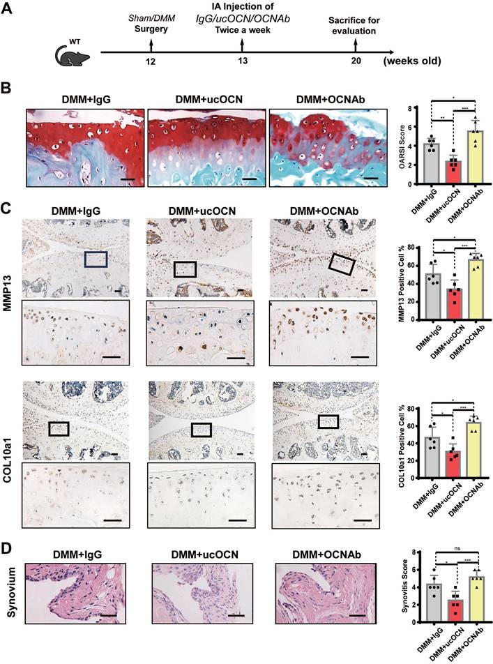 Int J Biol Sci Image