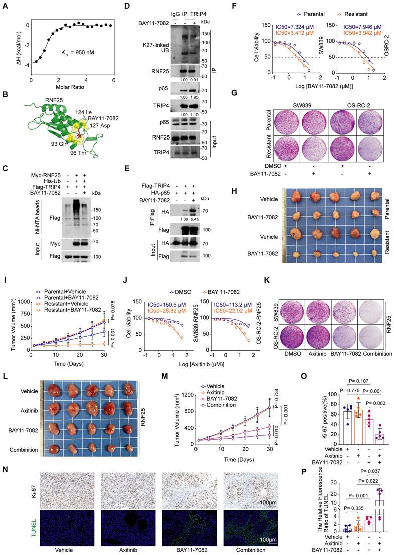 Int J Biol Sci Image