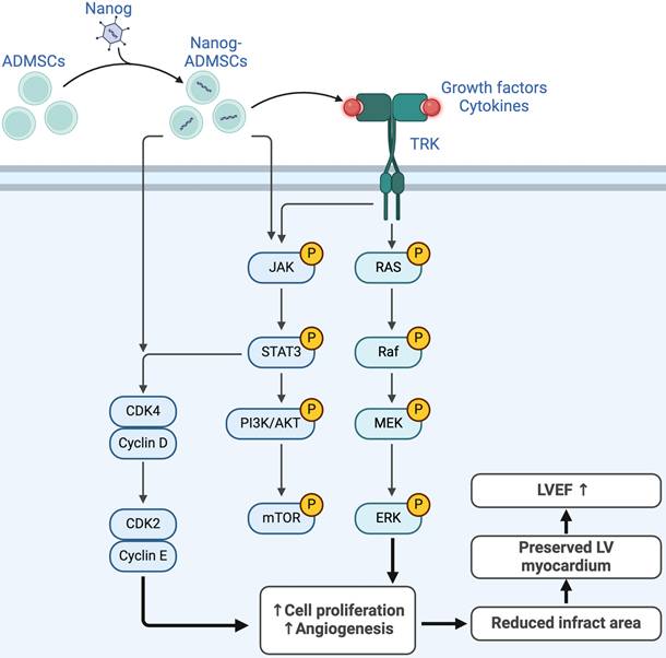 Int J Biol Sci Image