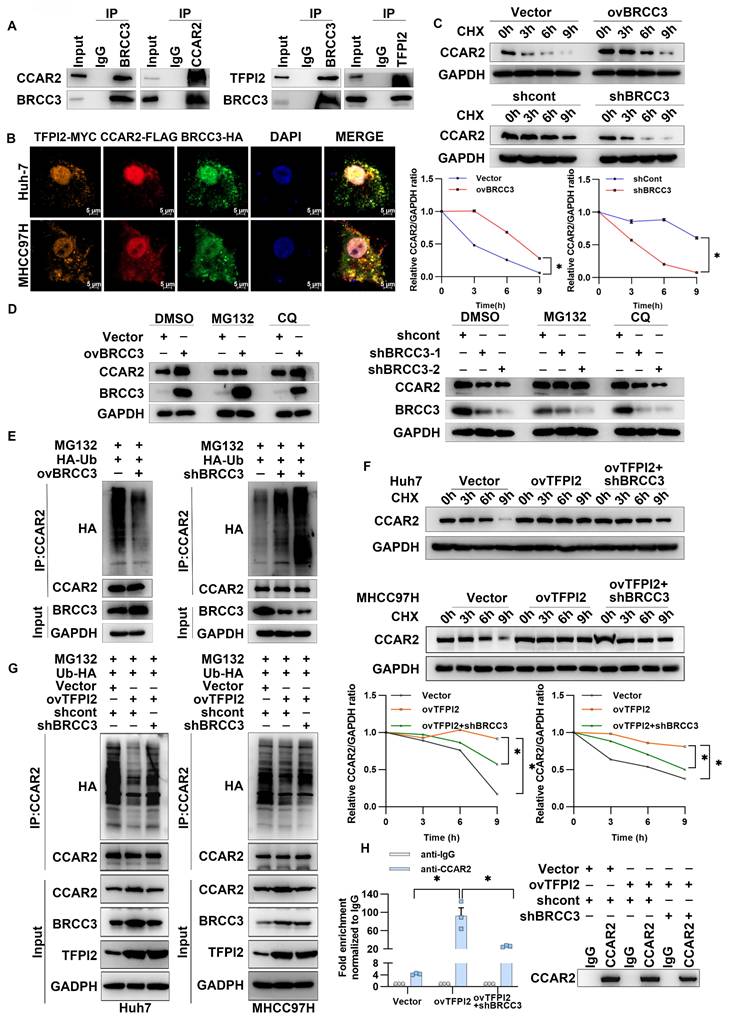 Int J Biol Sci Image