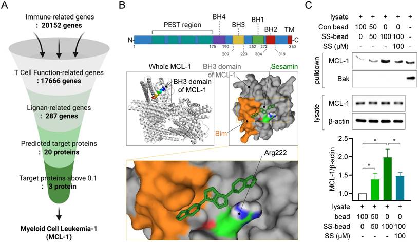 Int J Biol Sci Image