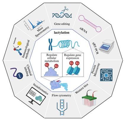 Int J Biol Sci Image
