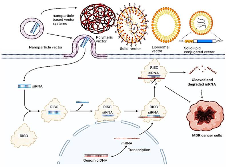 Int J Biol Sci Image