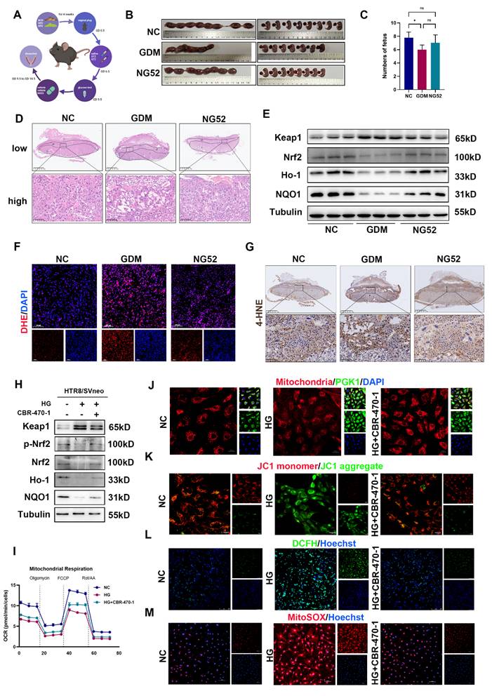 Int J Biol Sci Image