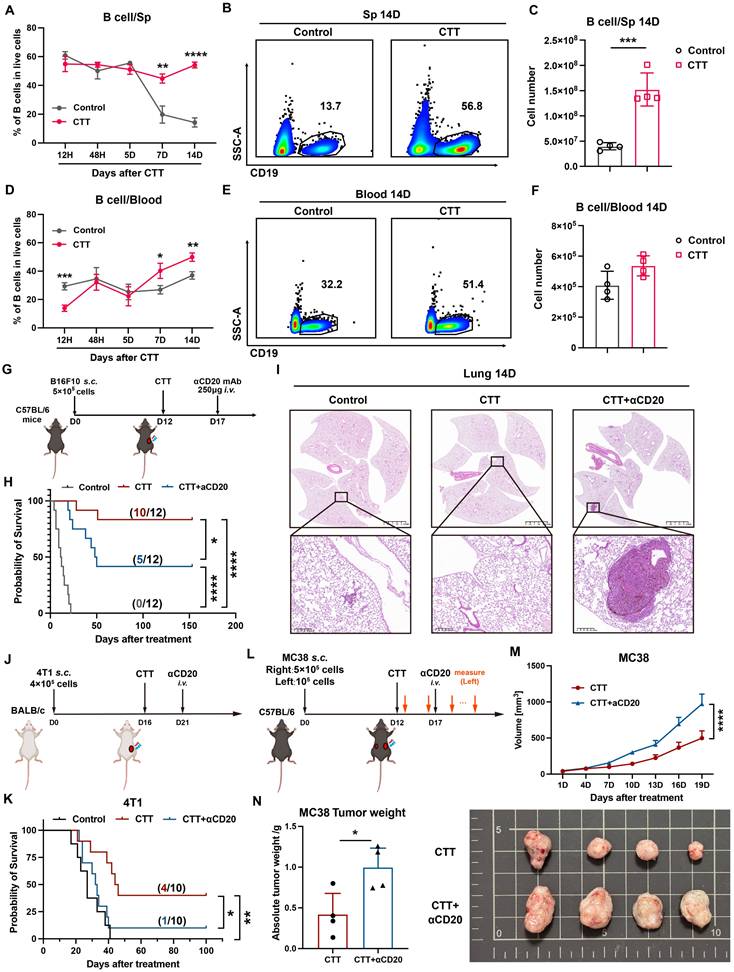 Int J Biol Sci Image