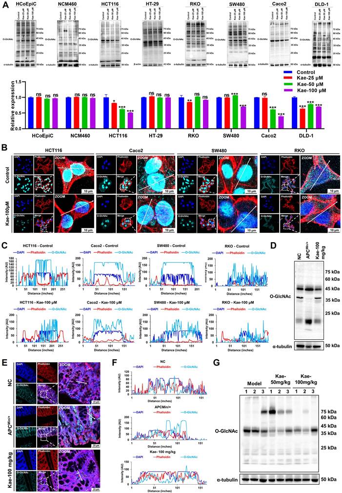 Int J Biol Sci Image