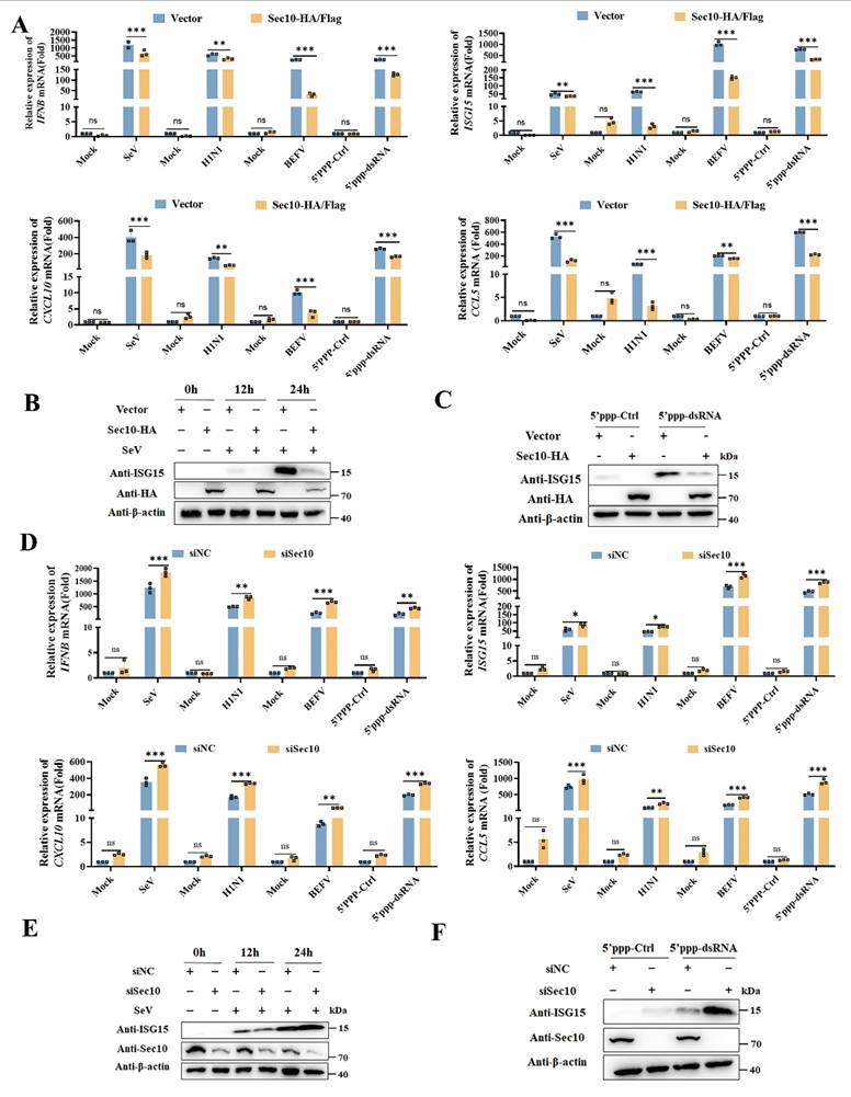 Int J Biol Sci Image
