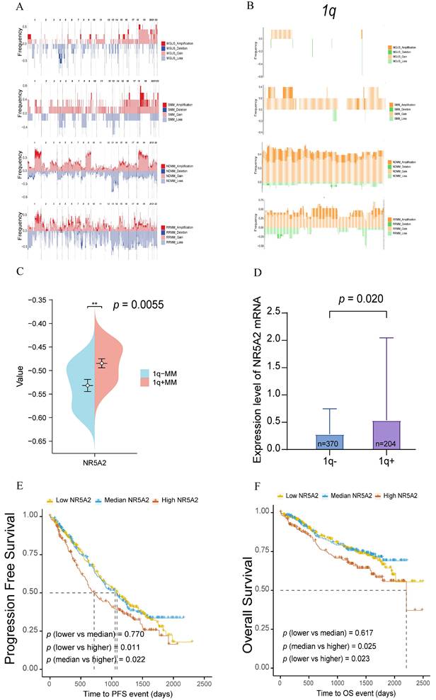 Int J Biol Sci Image
