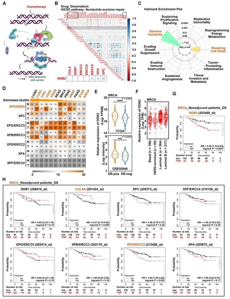 Int J Biol Sci Image