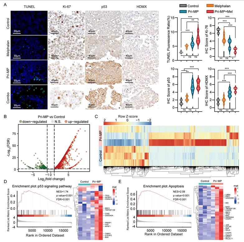 Int J Biol Sci Image