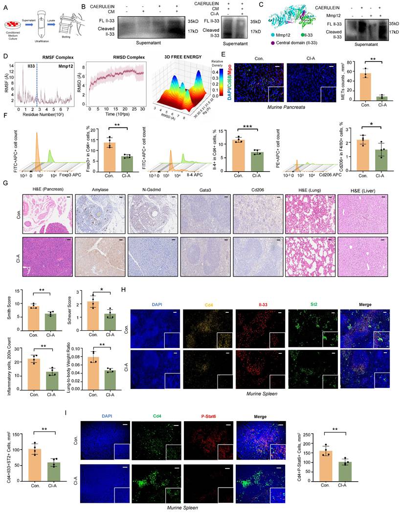 Int J Biol Sci Image