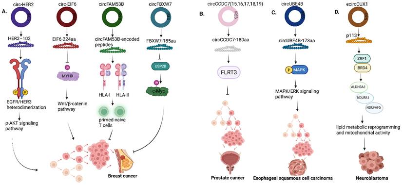 Int J Biol Sci Image