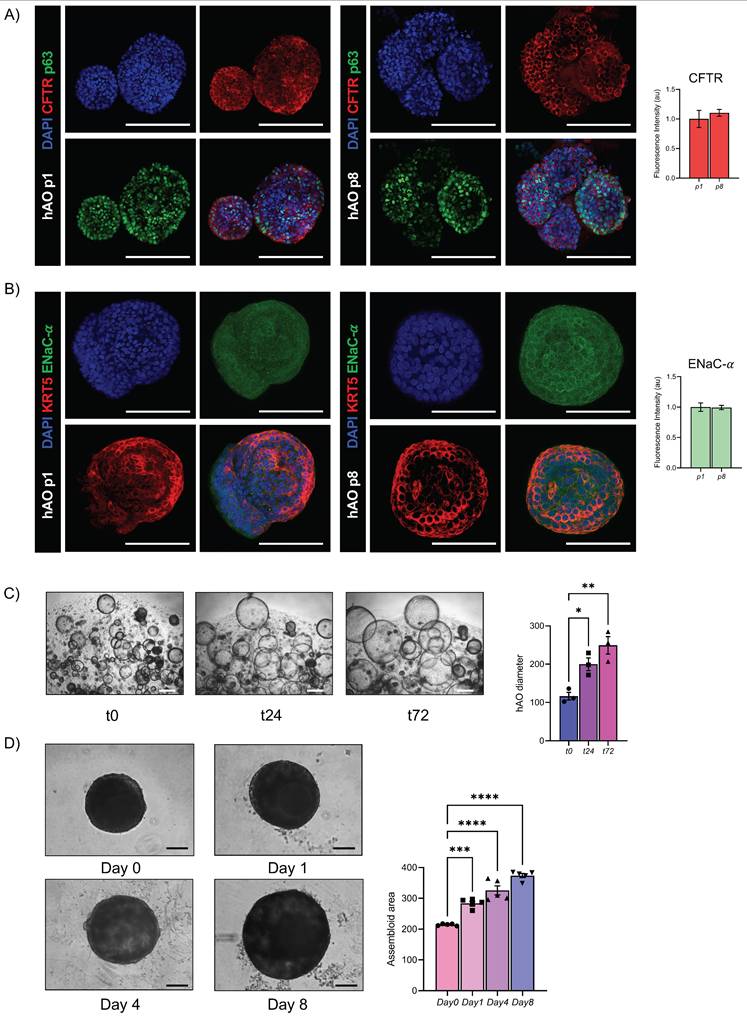 Int J Biol Sci Image