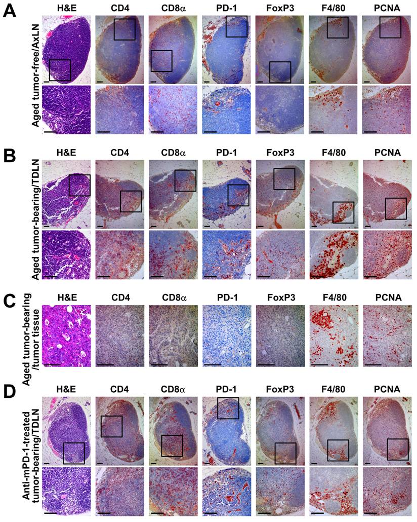 Int J Biol Sci Image