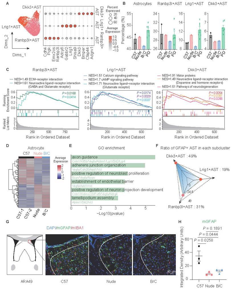 Int J Biol Sci Image