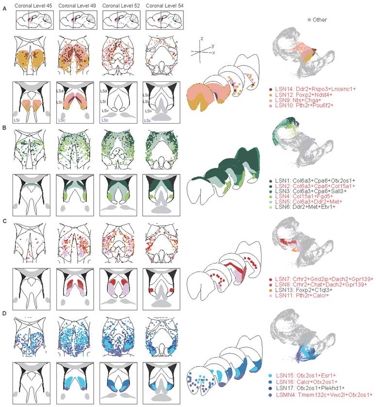 Int J Biol Sci Image